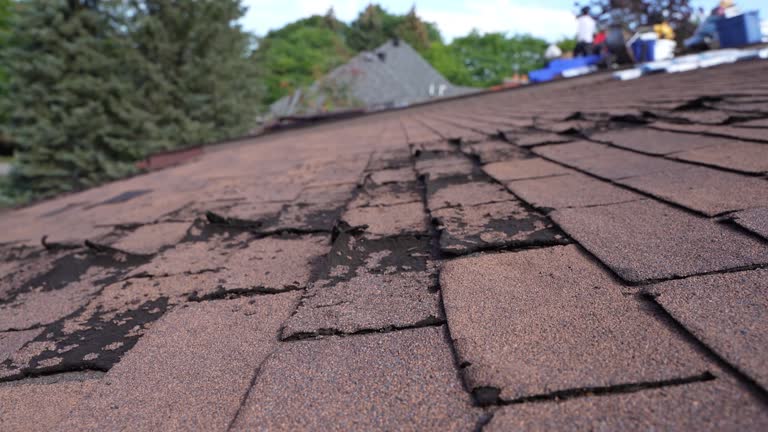 Best Gutter Installation and Repair  in New Bremen, OH